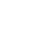 gizfan